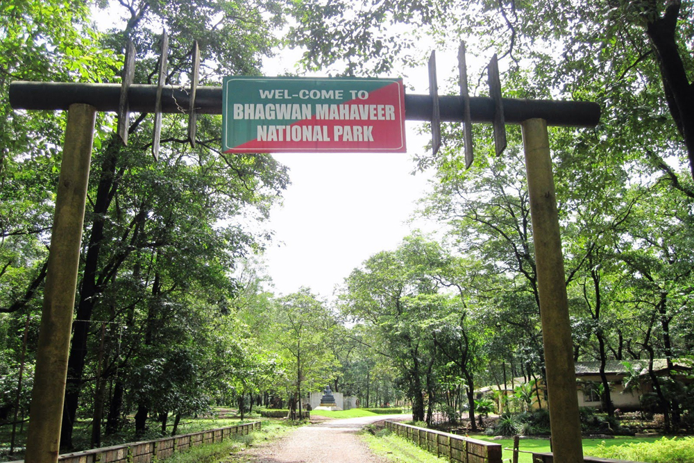 Bhagwan Mahaveer wildlife sanctuary